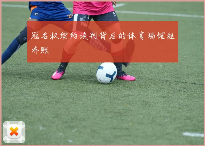 冠名权续约谈判背后的体育场馆经济账